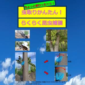 虫取りかんたん!らくらく昆虫捕獲|夏休み 木に...の詳細画像4