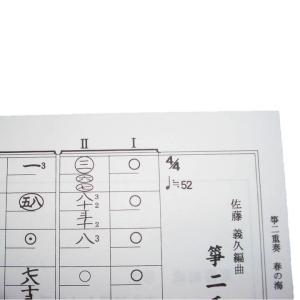 No.53 箏二重奏 春の海 (箏2) [佐藤...の詳細画像3