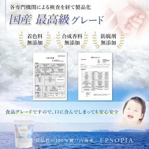 EPSOPIA エプソピア 600g 45回分...の詳細画像3