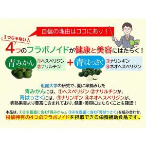 近大サプリ 青みかん + 青はっさく 810粒...の詳細画像4