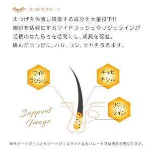 PHENIX フェニックス アイラッシュサポー...の詳細画像1