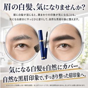 ビナ薬粧 メンズ眉墨 ブラック 男性用アイブロ...の詳細画像1