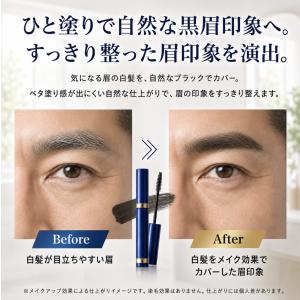 ビナ薬粧 メンズ眉墨 ブラック 男性用アイブロ...の詳細画像2