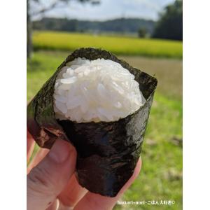 焼き海苔 三重 桑名産 焼のり 50枚 海苔 ...の詳細画像1
