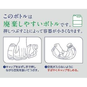 【大容量】 カネヨ石鹸 野菜・食器洗い 台所用...の詳細画像2