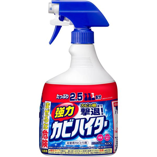 【大容量】強力カビハイター 風呂用洗剤 スプレー 本体 1000ml (x 1)