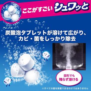 洗浄力 シュワッと 洗たく槽クリーナー タブレ...の詳細画像4