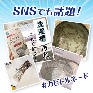 カビトルネード洗たく槽クリーナー カビトルネー...の詳細画像1