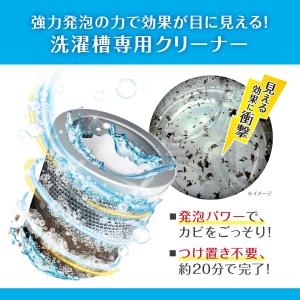 カビトルネード洗たく槽クリーナー カビトルネー...の詳細画像2