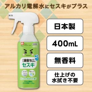 レック 【 激落ちくん 】 セスキ スプレー ...の詳細画像4