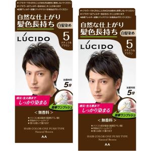 LUCIDO(ルシード) 【まとめ買い】ワンプッシュケアカラー(医薬部外品) メンズ用 ショートヘア約4回分 白髪染め 無香料 ナチュラルブラウン セット 2個 (x
