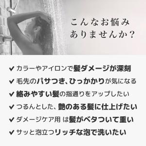 いち髪 THE PREMIUM 【シルキースム...の詳細画像3