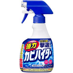 強力カビハイター バス用洗剤 ハンディスプレー ...の商品画像