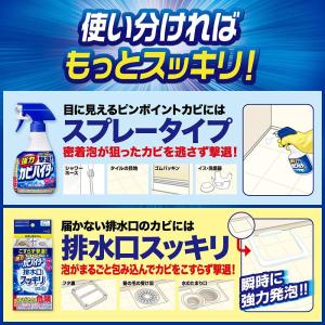強力カビハイター バス用洗剤 ハンディスプレー...の詳細画像2