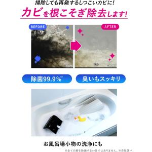 クリーンプラネット 風呂釜のカビ丸洗浄 A剤2...の詳細画像3