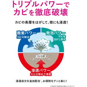 クリーンプラネット 風呂釜のカビ丸洗浄 A剤2...の詳細画像4