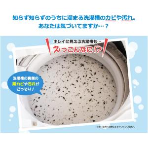 シャボン玉石けん 洗たく槽クリーナー 500g...の詳細画像2