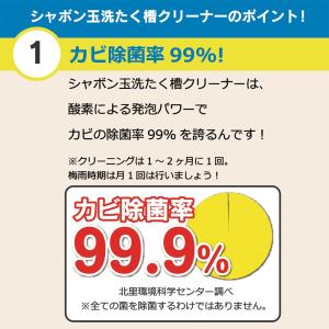 シャボン玉石けん 洗たく槽クリーナー 500g...の詳細画像4