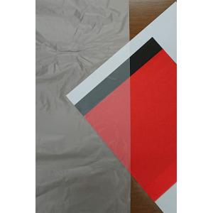 日本技研工業 ゴミ袋 半透明 30L 厚み0....の詳細画像2
