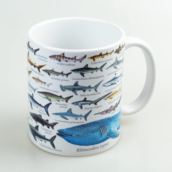 ザ・アクセス マグカップ サメ 大全マグカップ 水族館