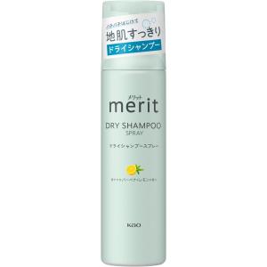 Merit メリットデイプラス ドライシャンプー 130g スプレー
