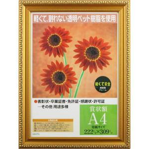 イワタ 額縁 賞状額 金消 樹脂製フレーム PET A4 PSKK-PET-SP-A4