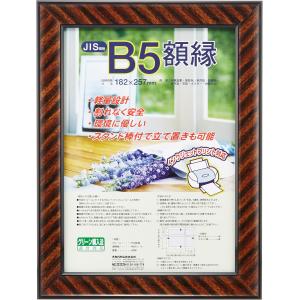 ナカバヤシ 木製軽量額縁 金ラック B5(JIS規格) フ-KWP-11 [オフィス用品] B5
