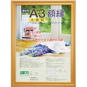 ナカバヤシ 賞状額縁 金ケシ(樹脂製) 賞状大賞判 フ-KWP-41 N