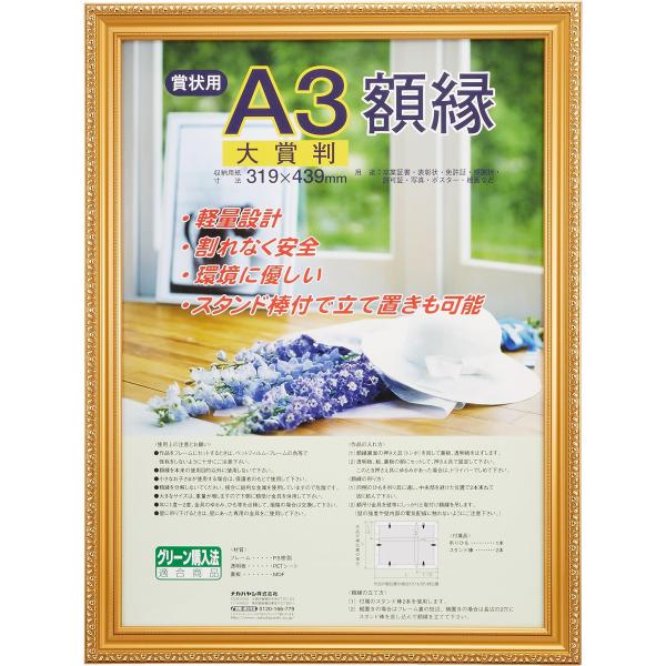 ナカバヤシ 賞状額縁 金ケシ(樹脂製) 賞状大賞判 フ-KWP-41 N