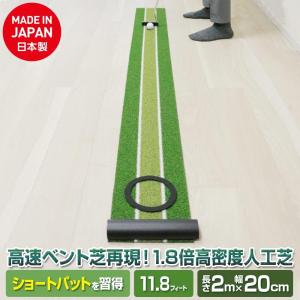 ダイヤゴルフ(DAIYA GOLF) パター練...の詳細画像1