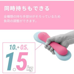 エレコム エクリアスポーツ スリムダンベル 0...の詳細画像5