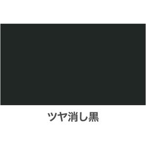 アサヒペン 高耐久ラッカースプレー 300ML...の詳細画像3