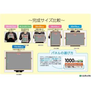 エポック(EPOCH) 【アポロのピクチュアパ...の詳細画像3