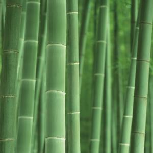 東和産業 靴箱シート BCS 竹炭靴箱シート ...の詳細画像5