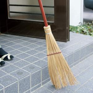 アズマ 外ほうき 庭園ほうき短柄 穂幅20cm...の詳細画像5