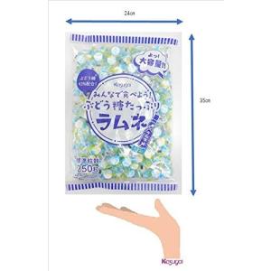 春日井製菓 みんなで食べよう!ぶどう糖たっぷり...の詳細画像2