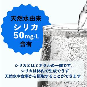 ミネラルストロング 伊藤園 ラベルレス 強炭酸...の詳細画像2