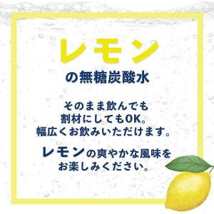 ミネラルストロング 伊藤園 ラベルレス 強炭酸...の詳細画像4