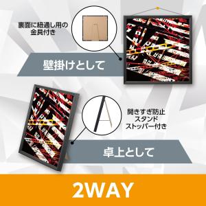ハクバ HAKUBA 額縁 Tシャツ・LPレコ...の詳細画像3