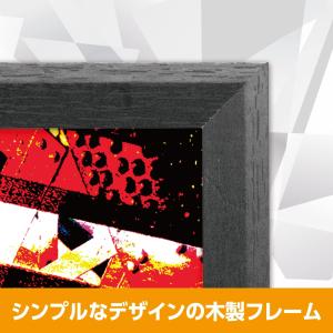 ハクバ HAKUBA 額縁 Tシャツ・LPレコ...の詳細画像4