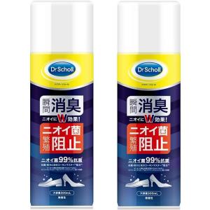 足用 消臭スプレー ドクターショール 靴用消臭・抗菌スプレー 大型サイズ 2個