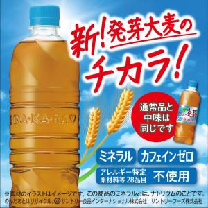 サントリー グリーンダカラ やさしい麦茶 ラベ...の詳細画像2