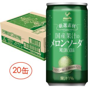 メロンソーダ 三ツ矢 アサヒ 素材派メロンソーダ 500ml ペットボトル 24本入