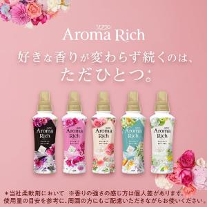【大容量】 ソフランアロマリッチ ジュリエット...の詳細画像1
