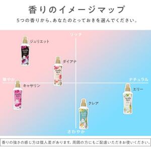 【大容量】 ソフランアロマリッチ ジュリエット...の詳細画像5