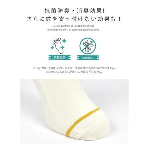靴下 メンズ レディース ジムマスター gym...の詳細画像5