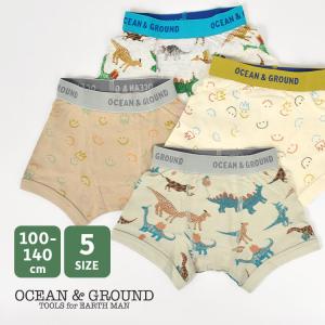 キッズ ボクサーパンツ 下着 男の子 オーシャンアンドグラウンド OCEAN＆GROUND 肌着 綿100％ コットン 100 110 120 130 140 cm おしゃれ 子供 保育園 幼稚園｜hauhau