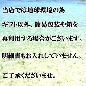 福袋 ハワイアン ハワイ 雑貨 閉店セール 送...の詳細画像5