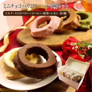 送料無料 ミニチョコBox バウムクーヘン5個 (5種×1個) 5種(ミルク・イチゴ・抹茶・レモン・コーヒー)のチョコをコーティング
