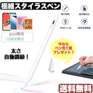 【2021 タッチペン】 iPadペン スタイラスペン 超高感度 iPad専用ペン 1mm極細ペン先 傾き感知/誤作動防止/磁気吸着機能対応  USBtype-c充電式